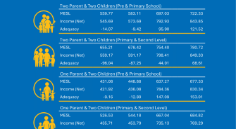 Cover page of MESL Impact Briefing, with table outlining forecast income adequacy for 2025